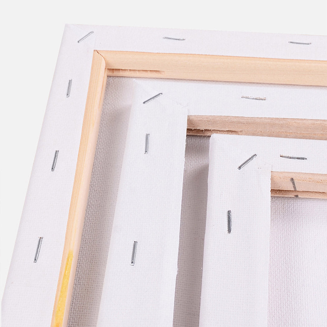 5x Artist Canvas Blank Stretched Canvases-1919892885940080643