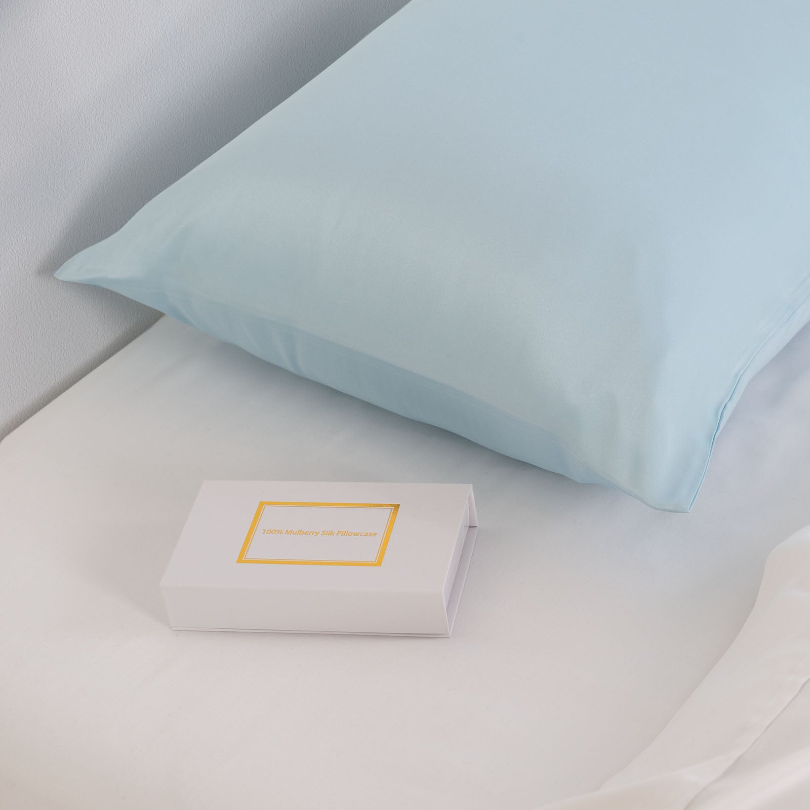 Pure Silk Pillow Case by Royal Comfort (Single Pack) - Soft Blue-1951134816229527554