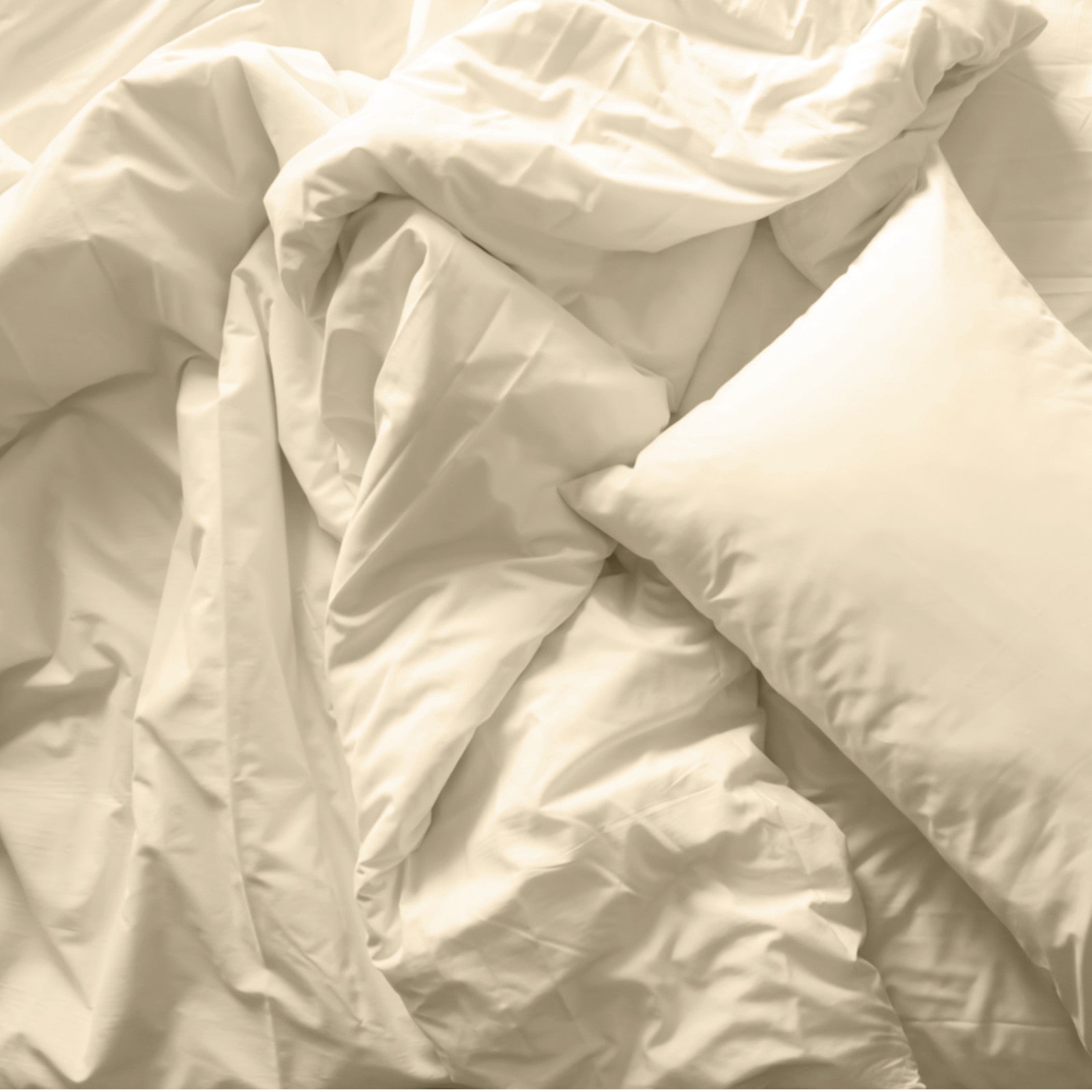 Royal Comfort Blended Bamboo Quilt Cover Sets -Dark Ivory-Double-1951134818922270723