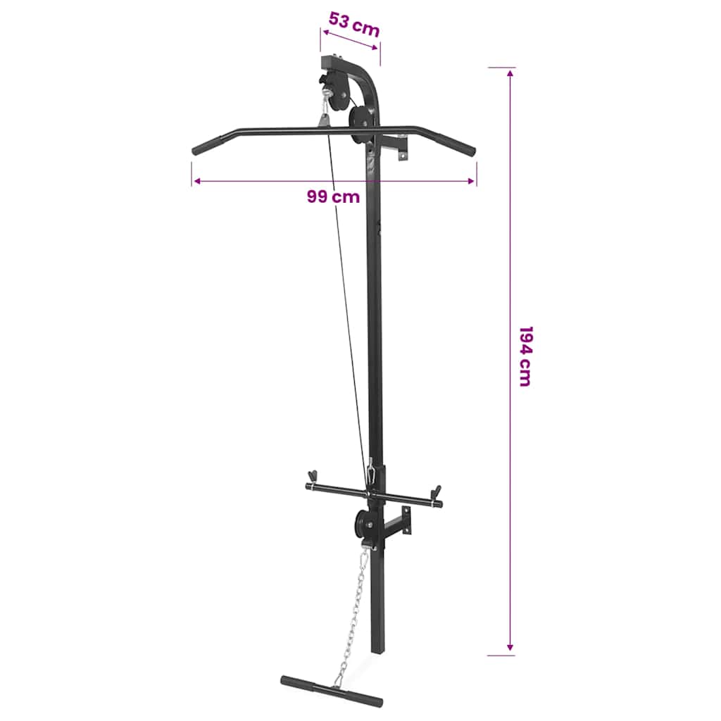 Wall-mounted Home Gym with 2 Pulleys