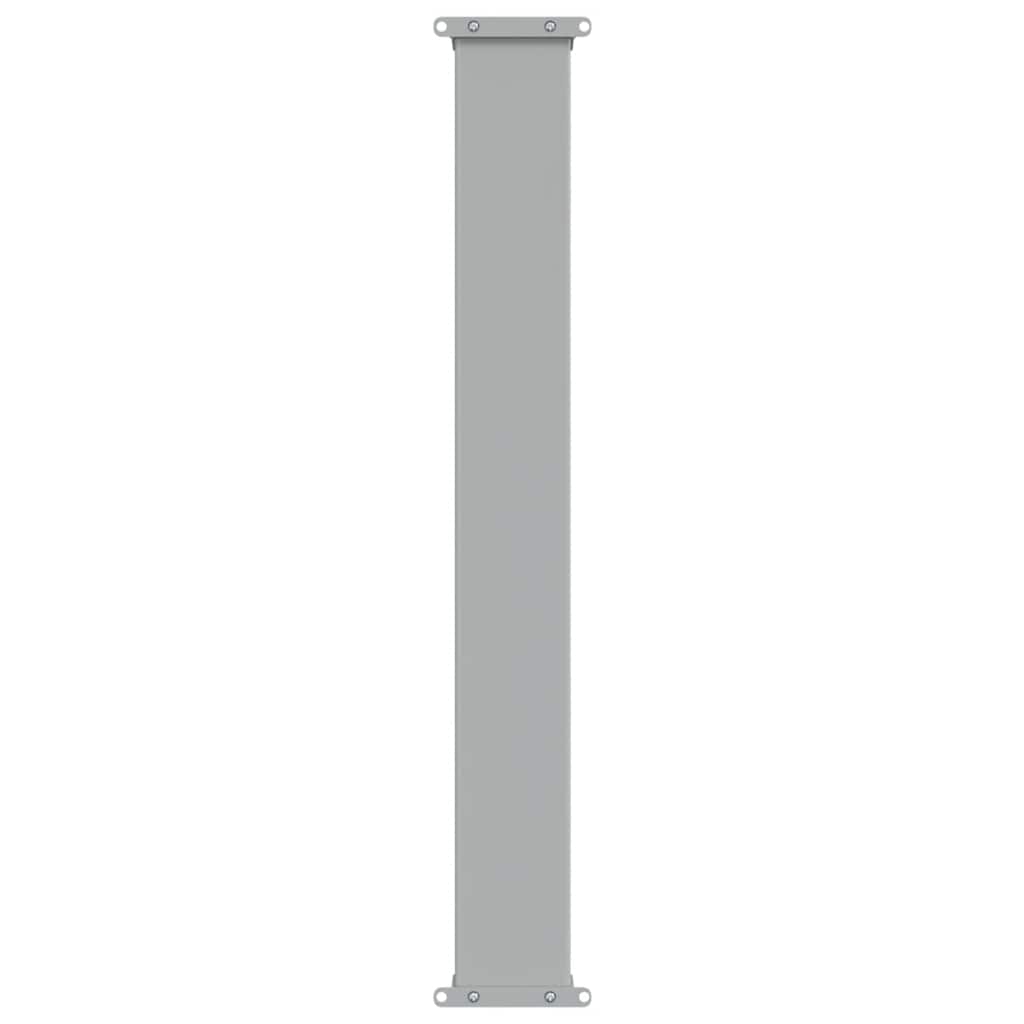 Patio Retractable Side Awning 100 x 300 cm Grey
