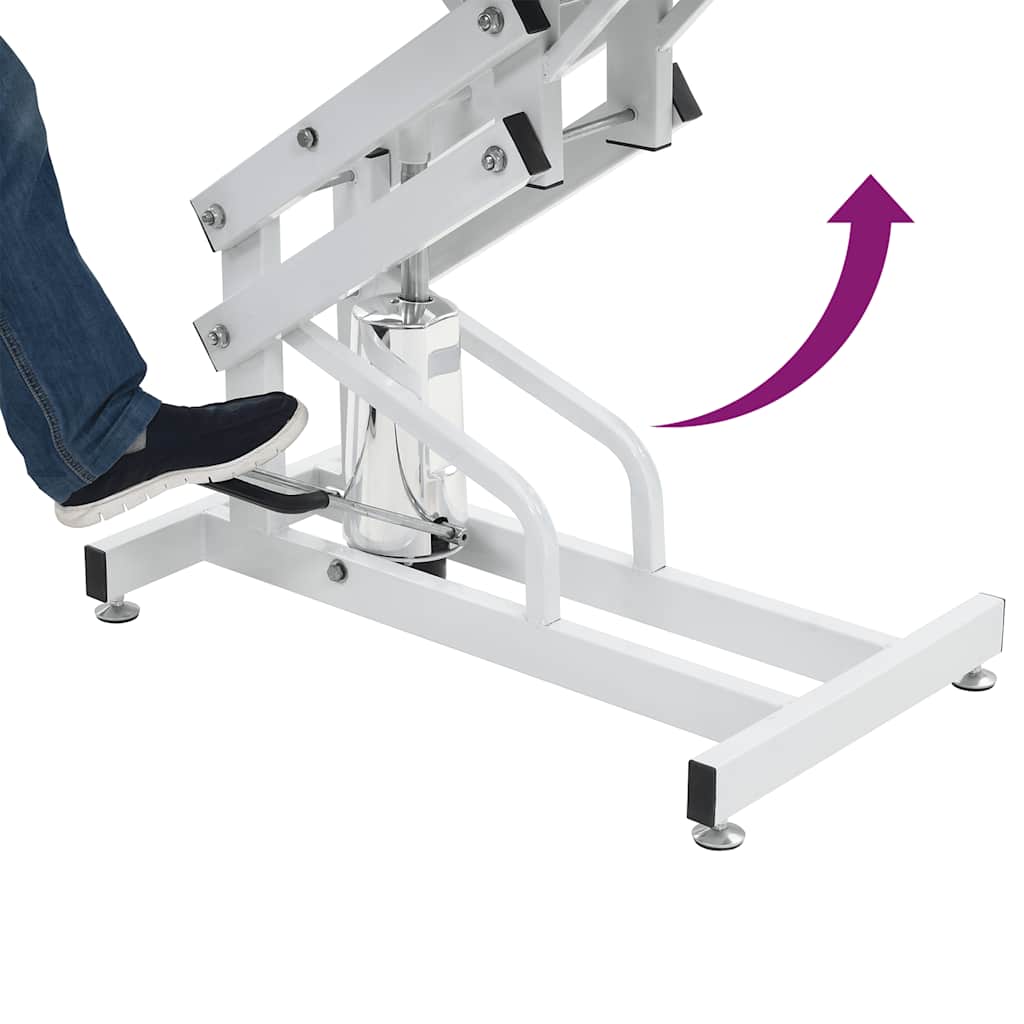 Hydraulic Bath Grooming Table for Dogs Cats Pets Adjustable