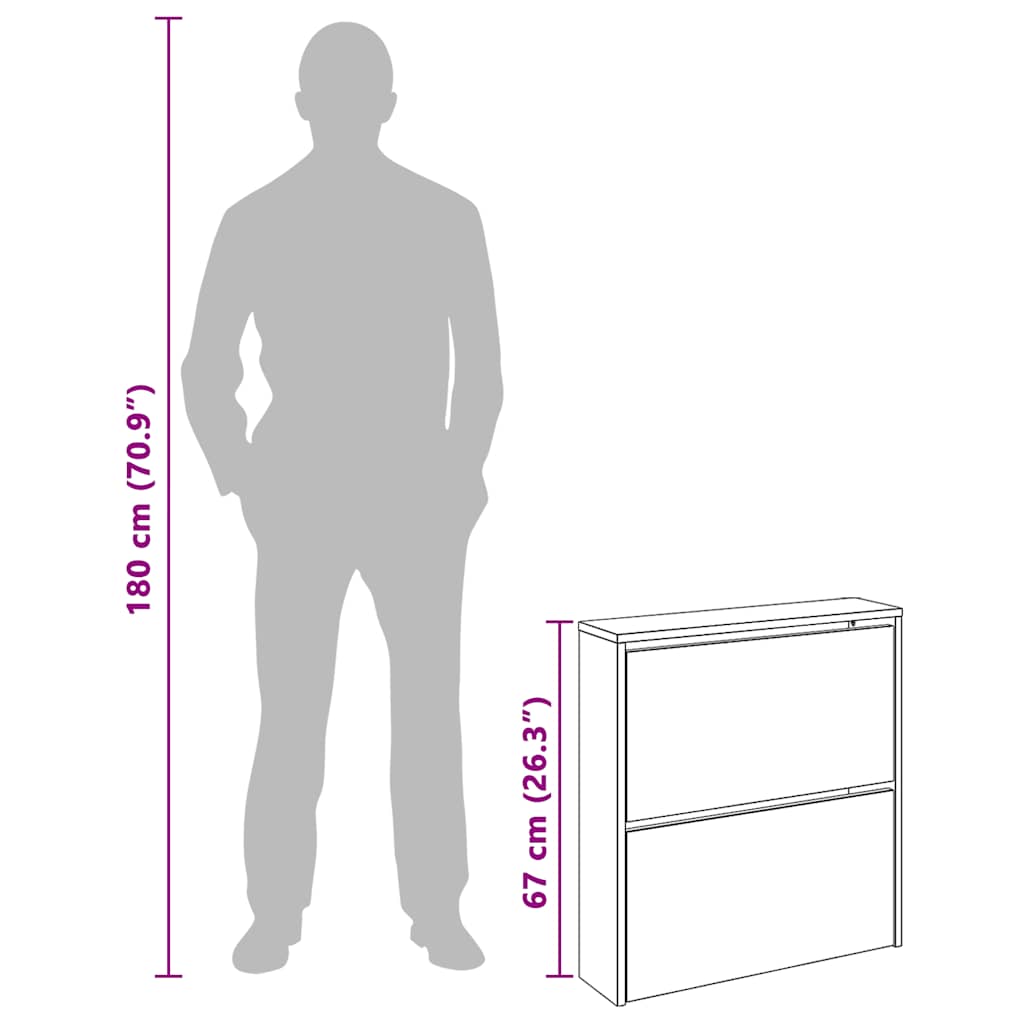 Shoe Cabinet 2-Layer Mirror White 63x17x67 cm