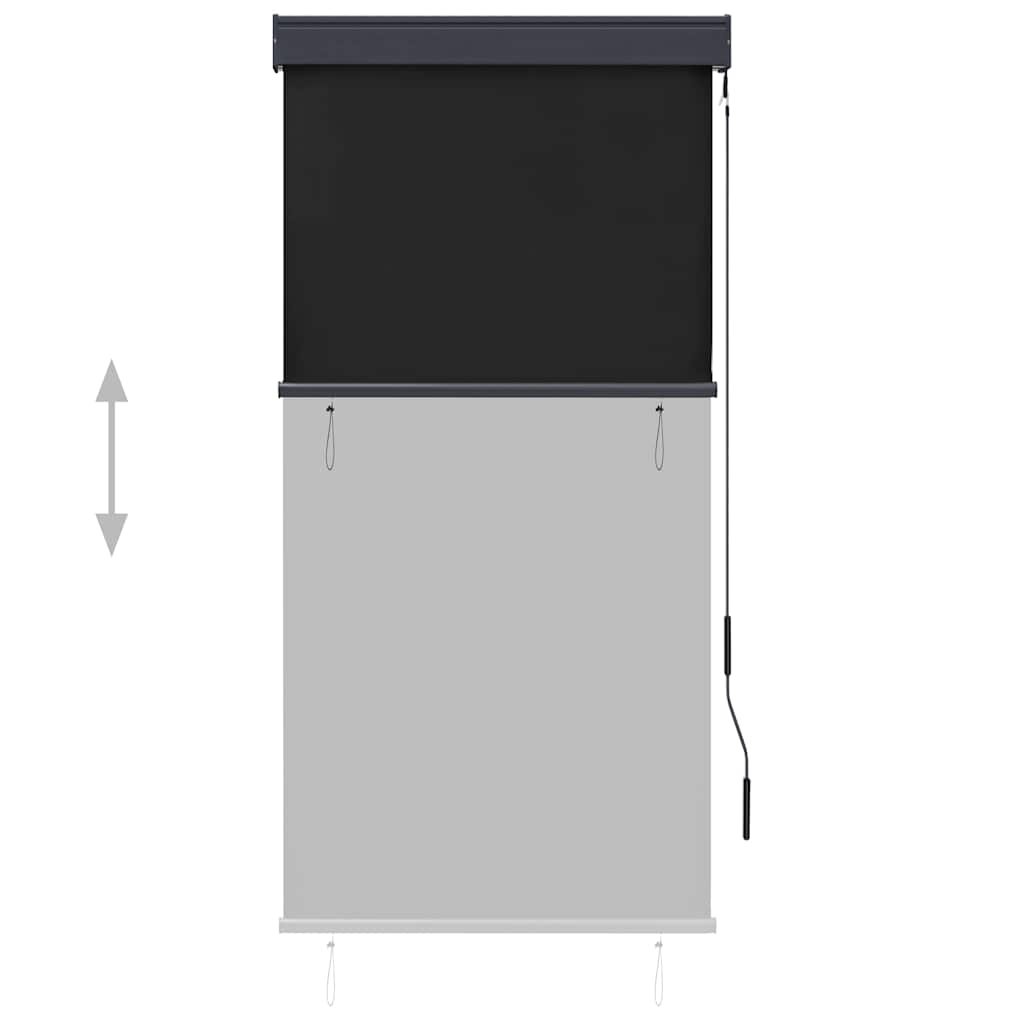 Outdoor Roller Blind 80x250 cm Anthracite
