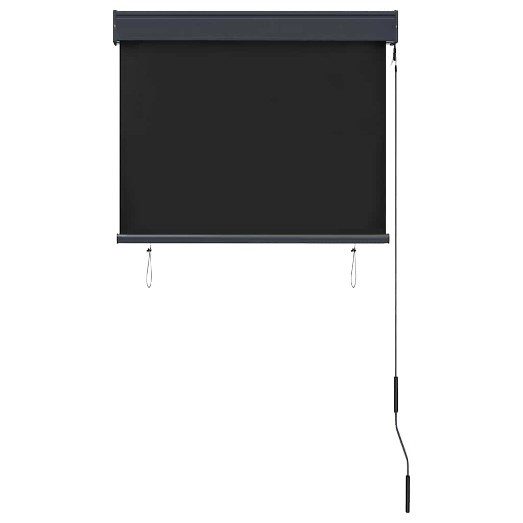 Outdoor Roller Blind 80x250 cm Anthracite