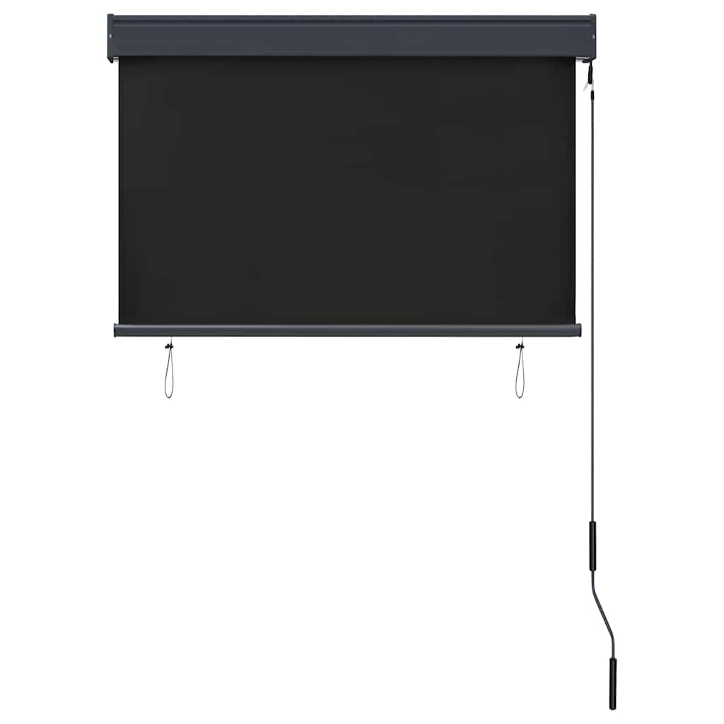 Outdoor Roller Blind 100x250 cm Anthracite