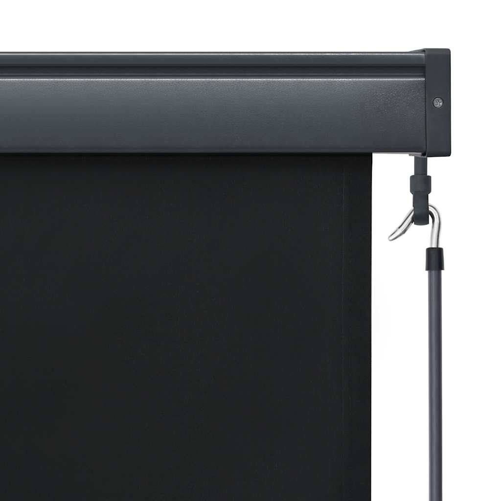 Outdoor Roller Blind 100x250 cm Anthracite