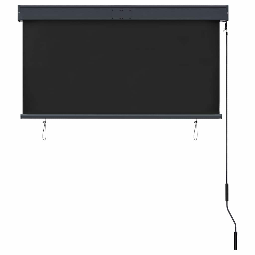 Outdoor Roller Blind 120x250 cm Anthracite