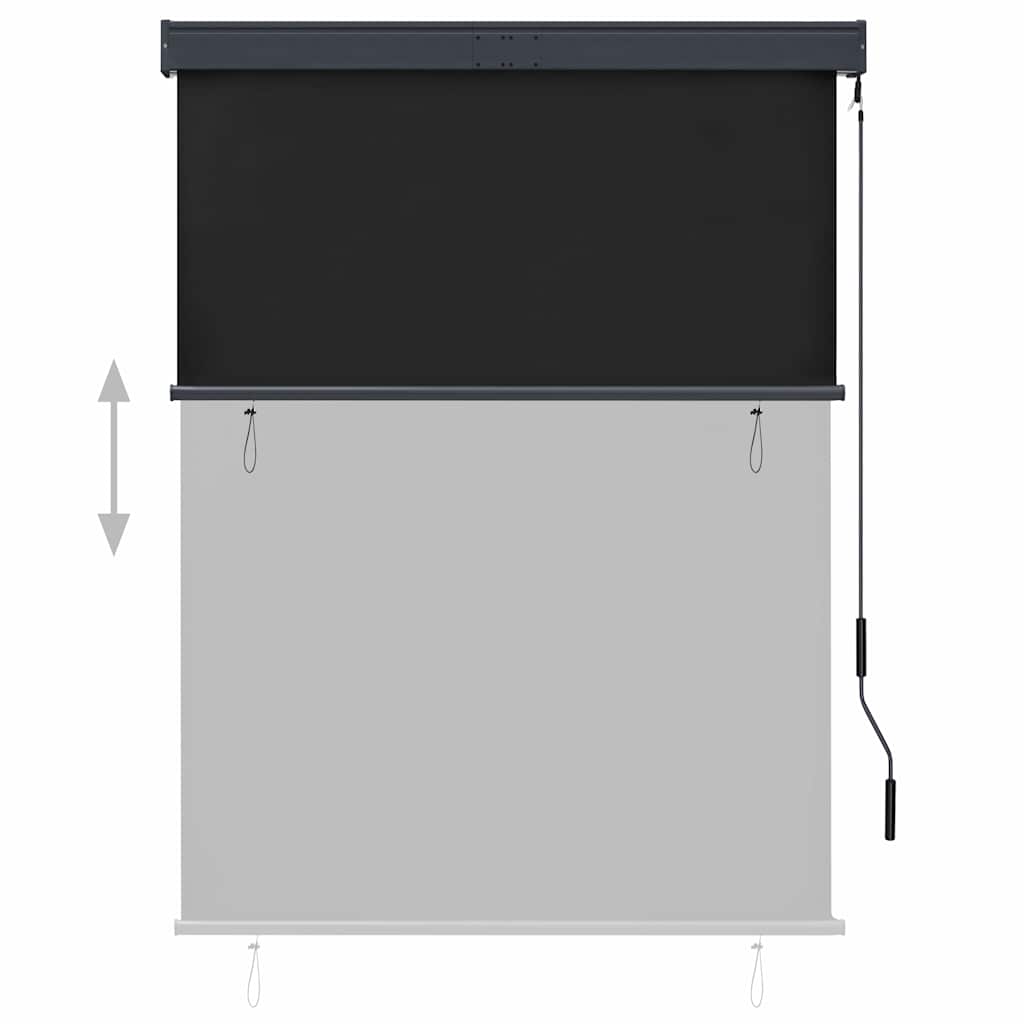 Outdoor Roller Blind 120x250 cm Anthracite