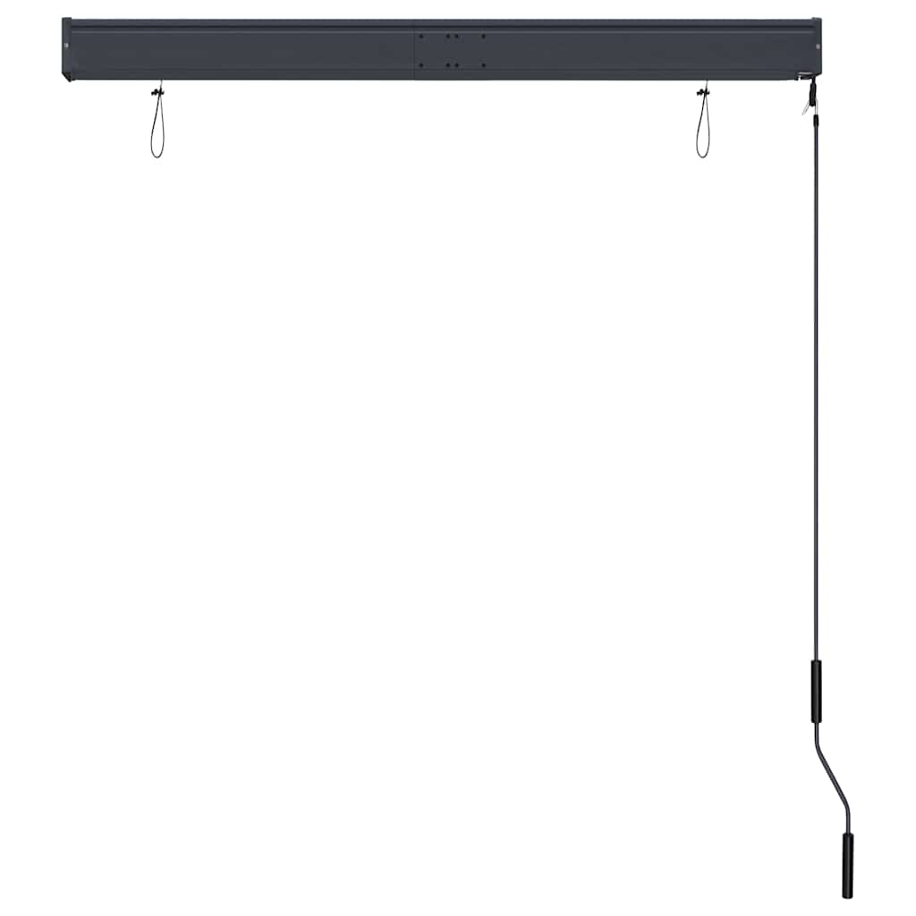 Outdoor Roller Blind 120x250 cm Anthracite