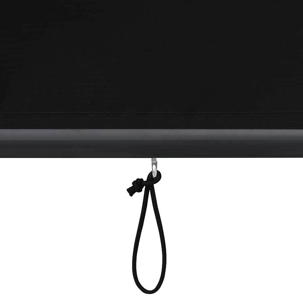 Outdoor Roller Blind 120x250 cm Anthracite