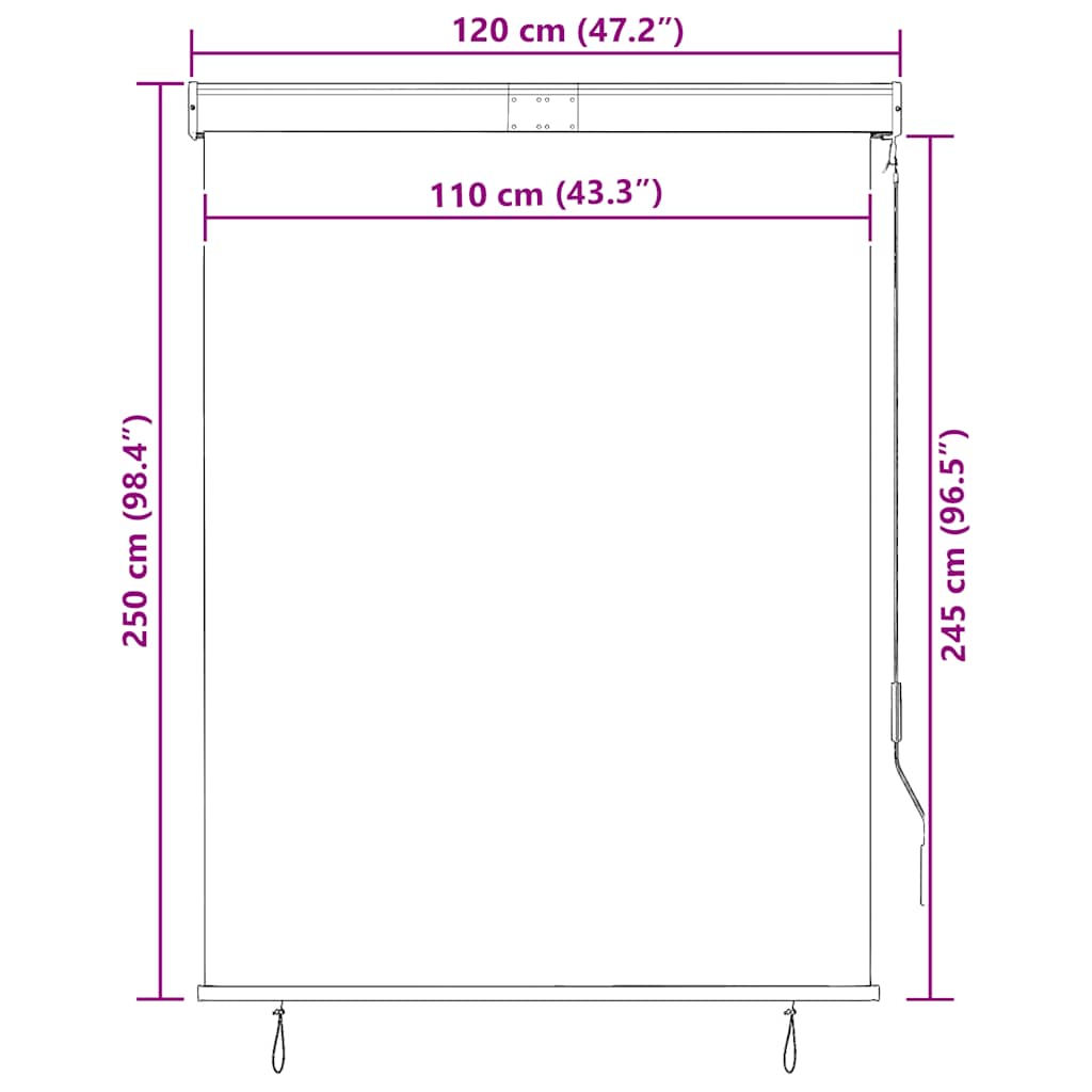 Outdoor Roller Blind 120x250 cm Anthracite
