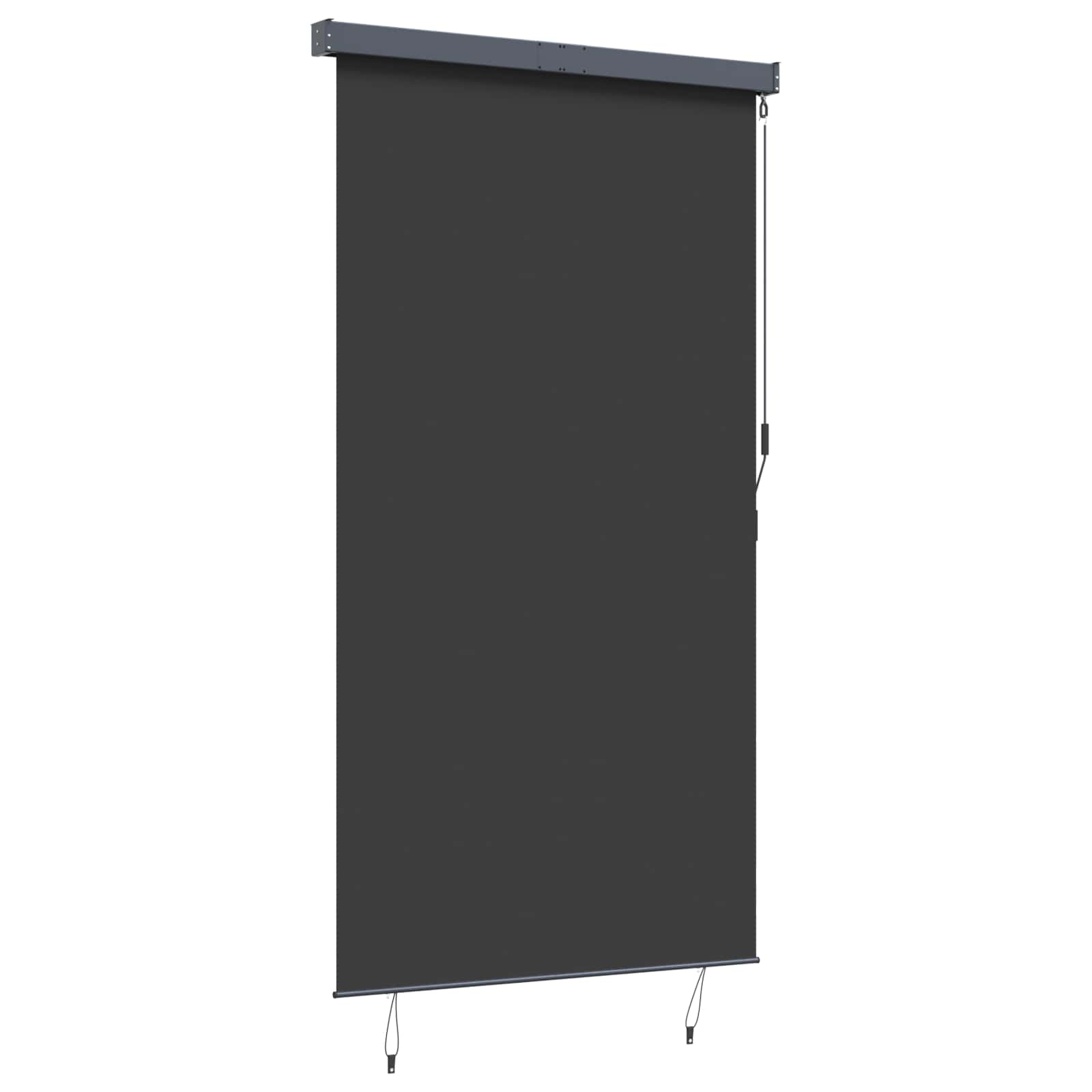 Outdoor Roller Blind 140x250 cm Anthracite