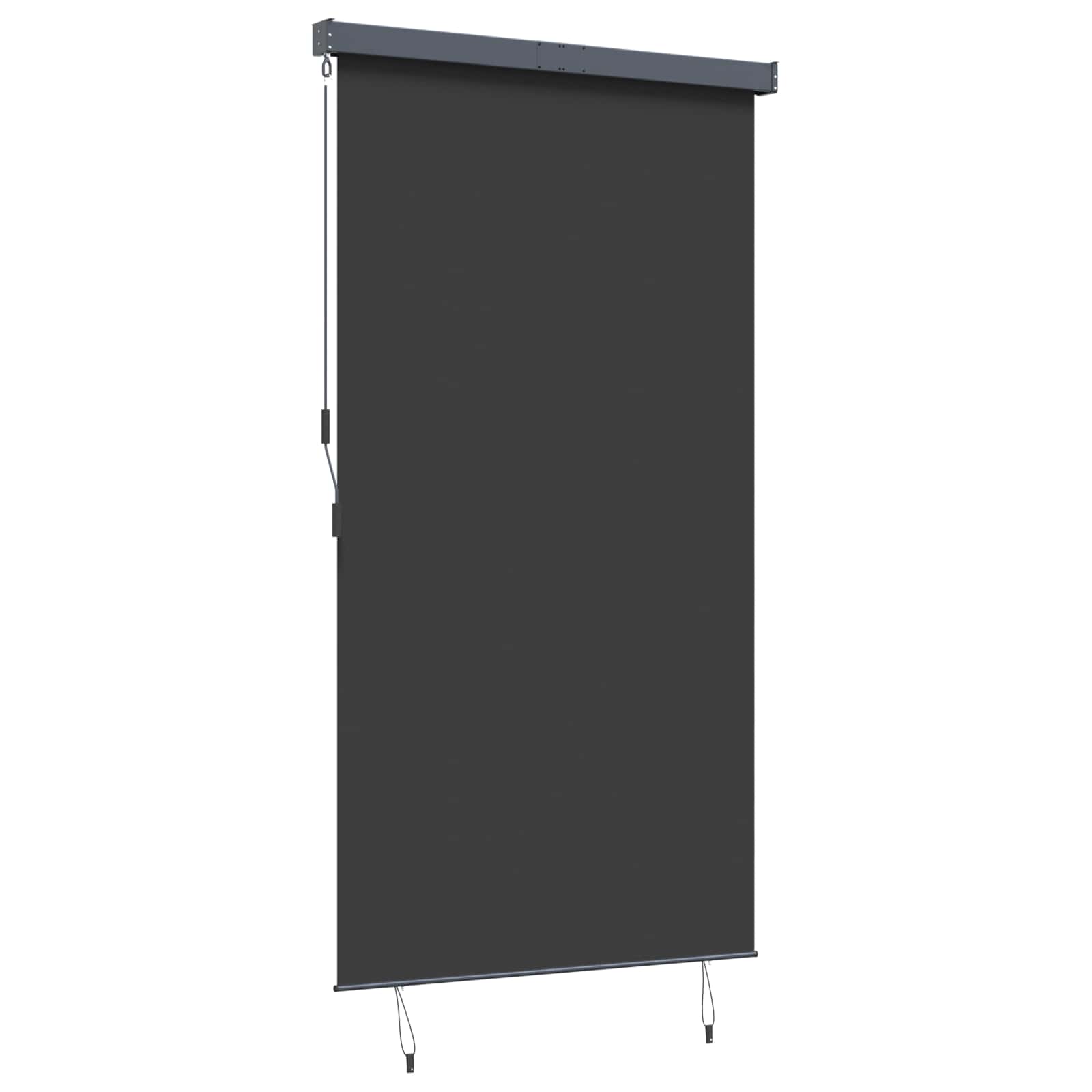 Outdoor Roller Blind 140x250 cm Anthracite