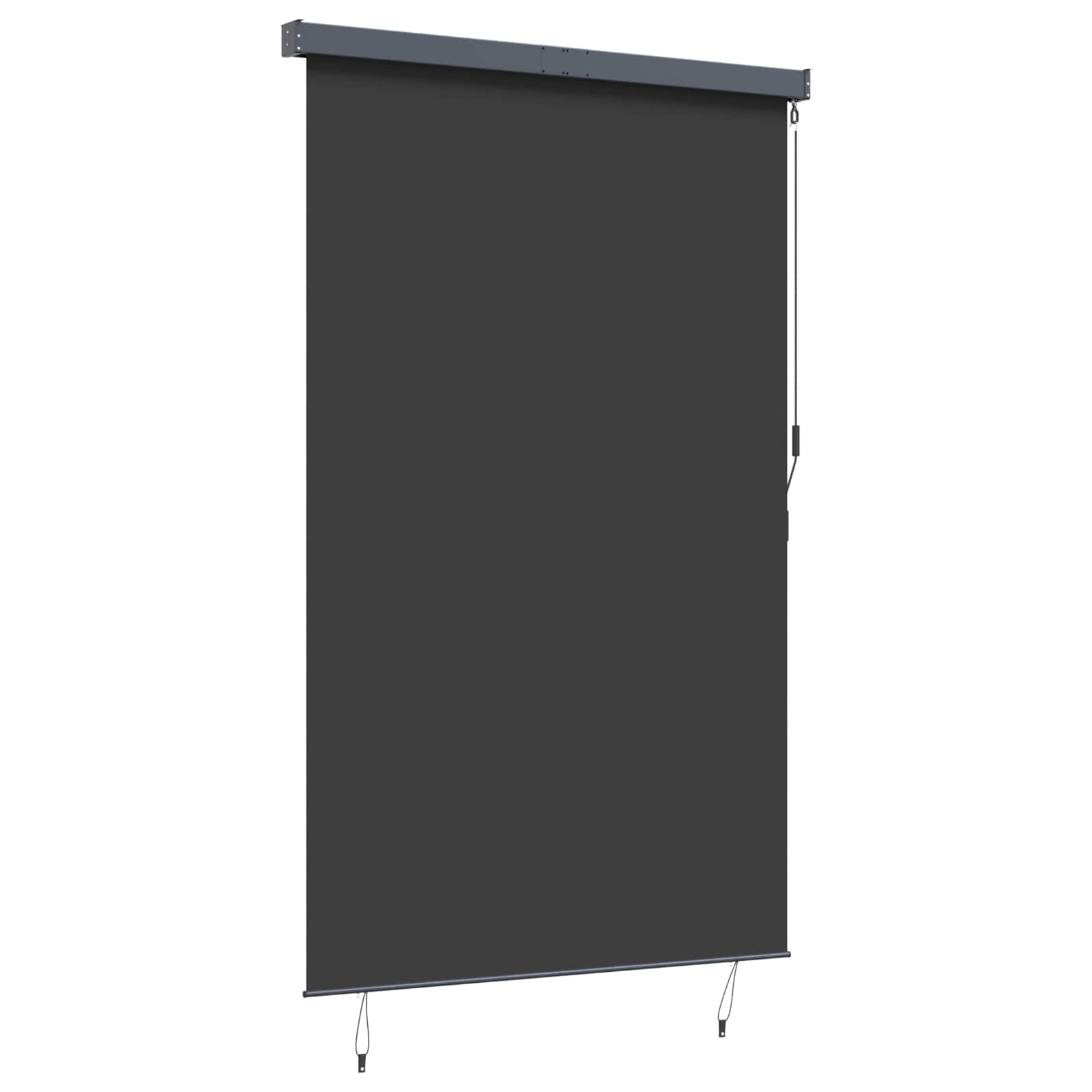 Outdoor Roller Blind 160x250 cm Anthracite