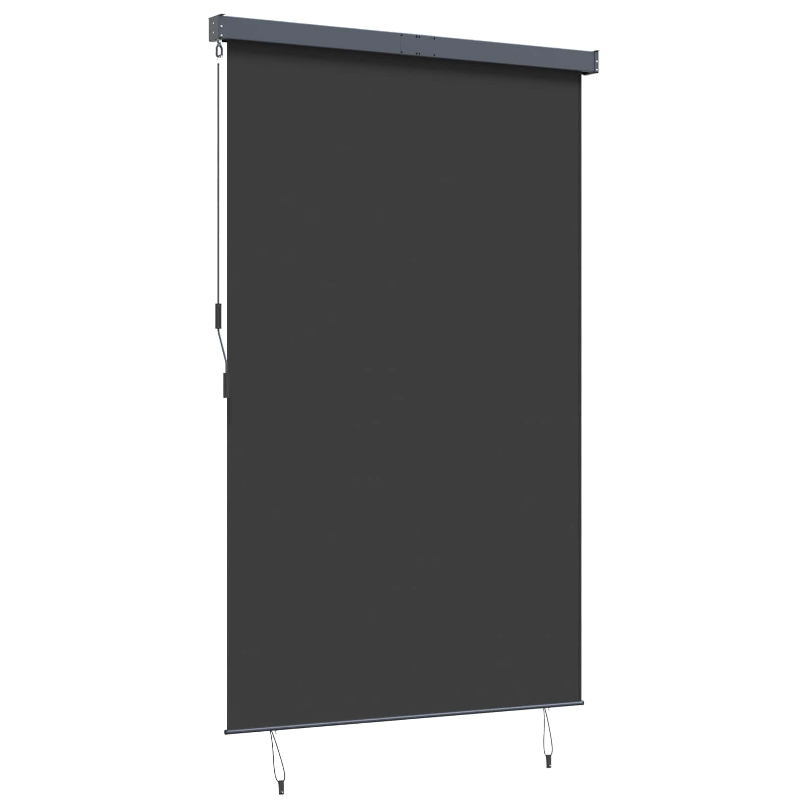 Outdoor Roller Blind 160x250 cm Anthracite