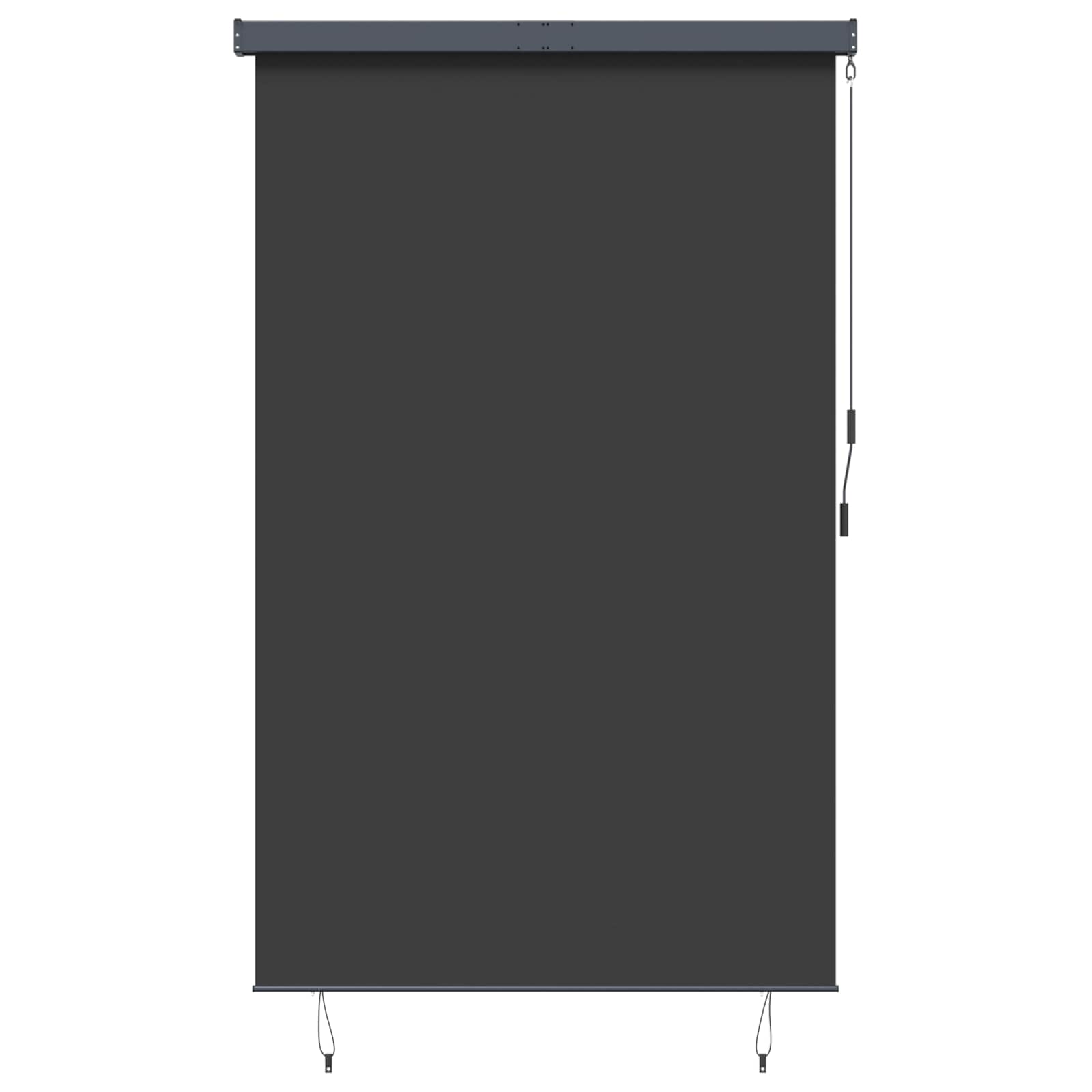 Outdoor Roller Blind 160x250 cm Anthracite