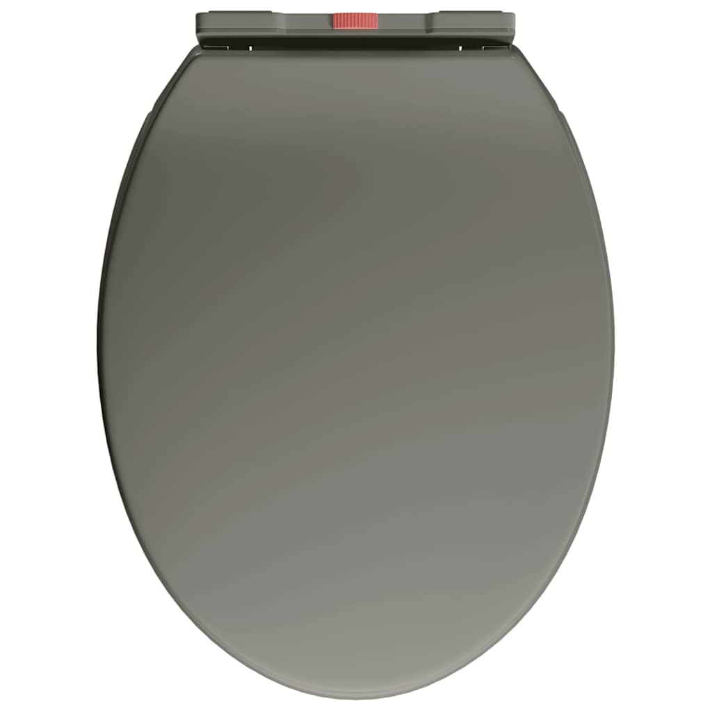Soft-Close Toilet Seat Quick Release Grey Oval