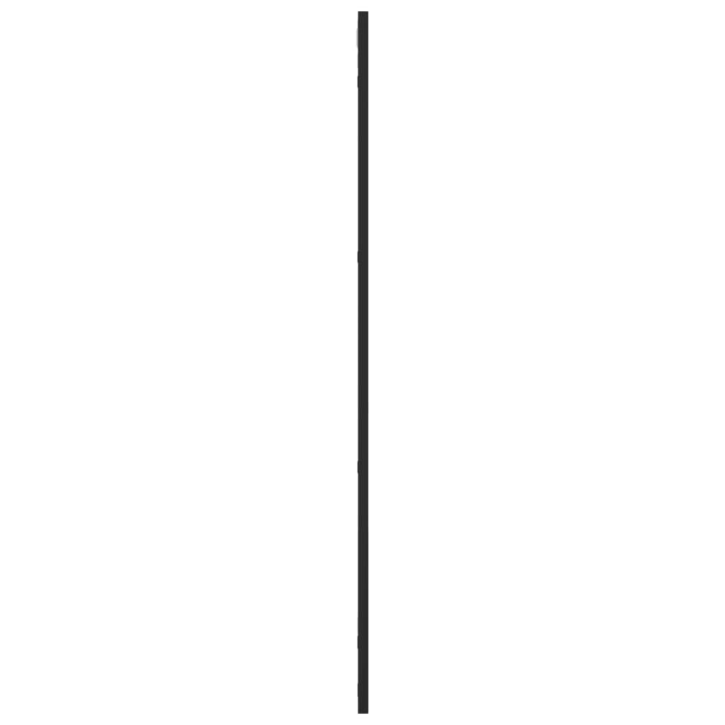 Wall Mirror Black 50x100 cm Rectangle Iron