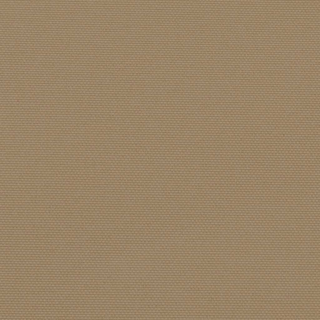 Retractable Side Awning Taupe 160x300 cm
