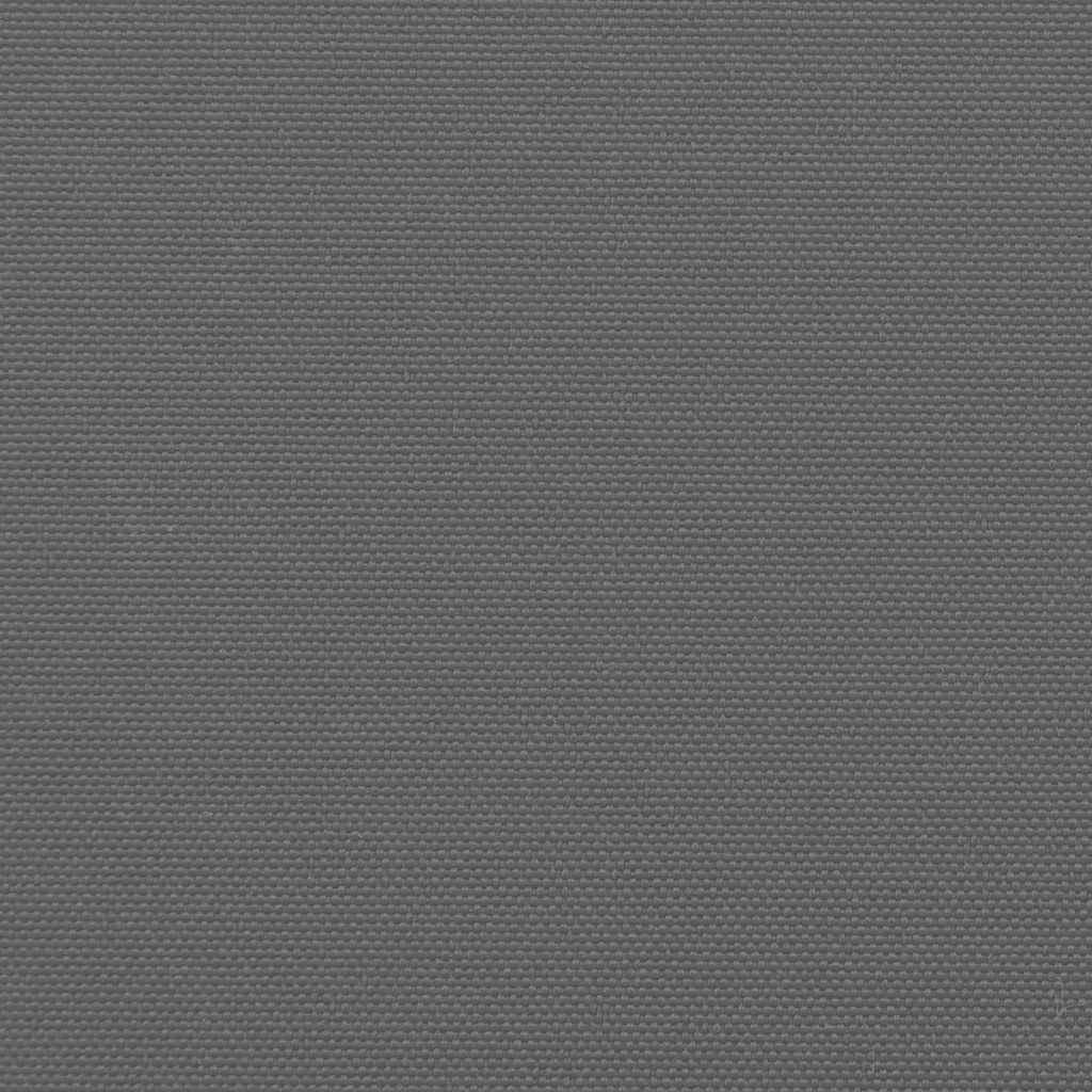 Retractable Side Awning Anthracite 120x500 cm