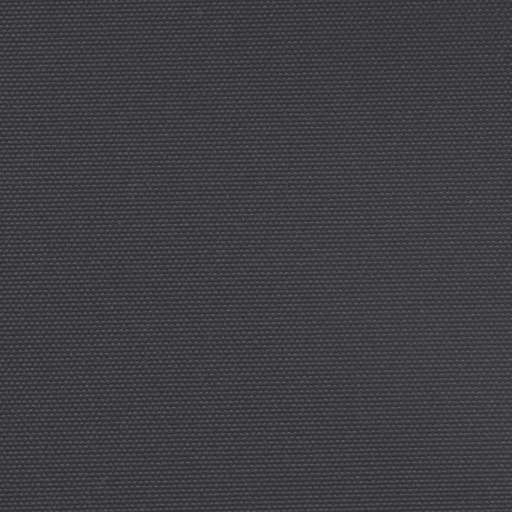 Retractable Side Awning Black 200x500 cm