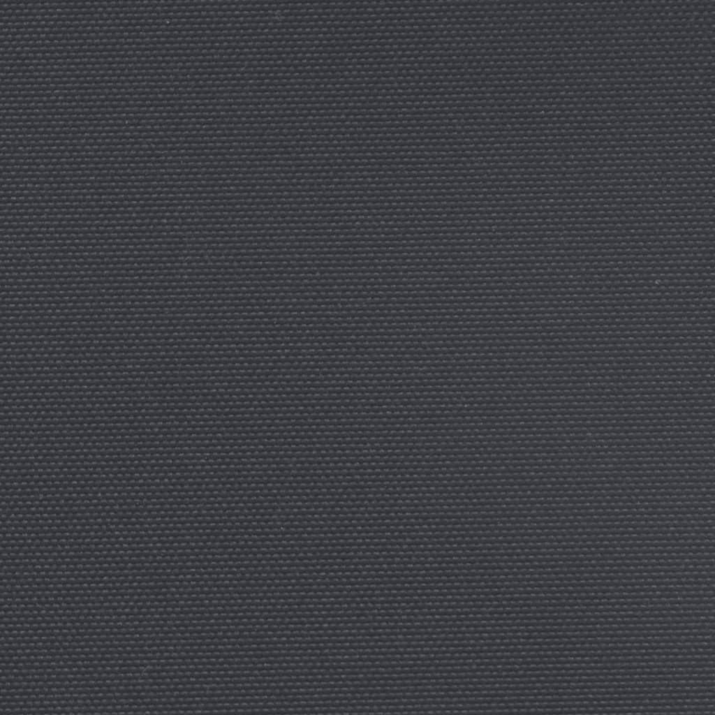 Retractable Side Awning Black 180x600 cm