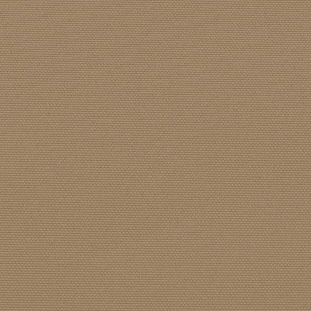Retractable Side Awning Taupe 220x600 cm