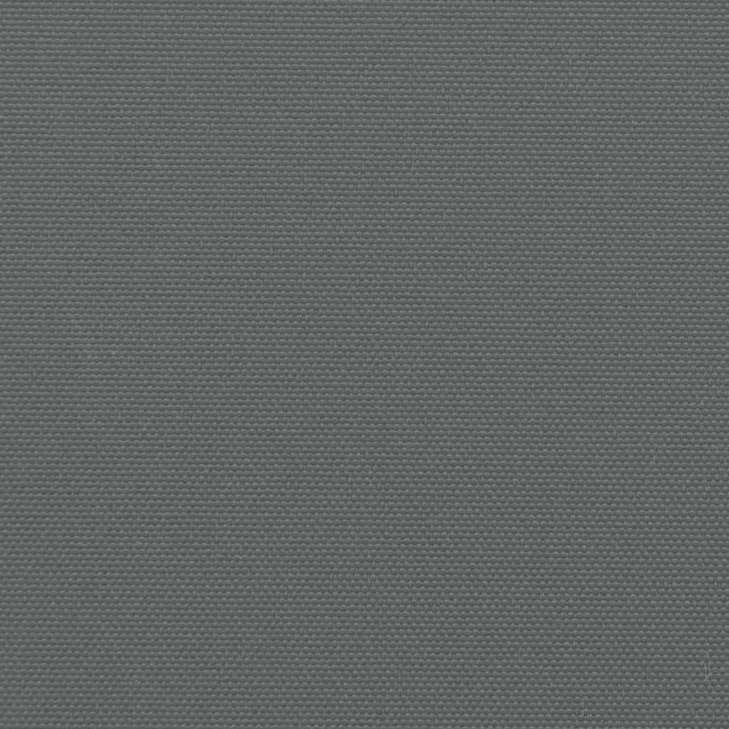 Retractable Side Awning Anthracite 220x600 cm