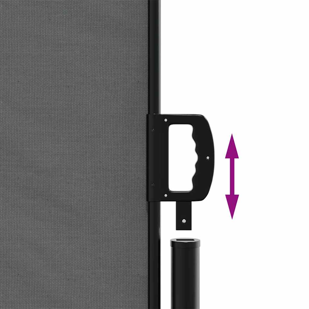 Retractable Side Awning Anthracite 200x1000 cm