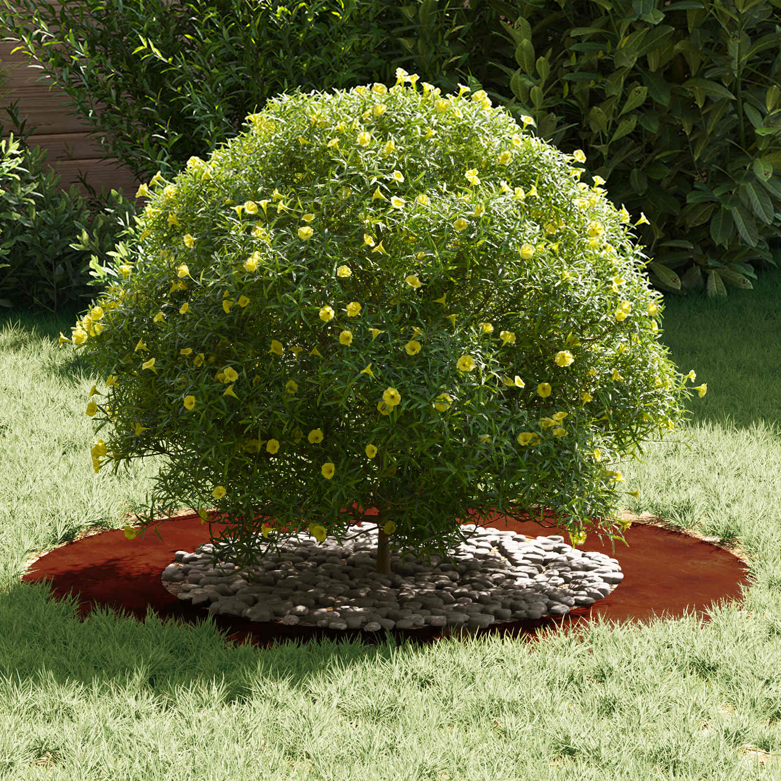 suitable for Flat Tree Rings 5 pcs Brown Ø50 / 80 cm