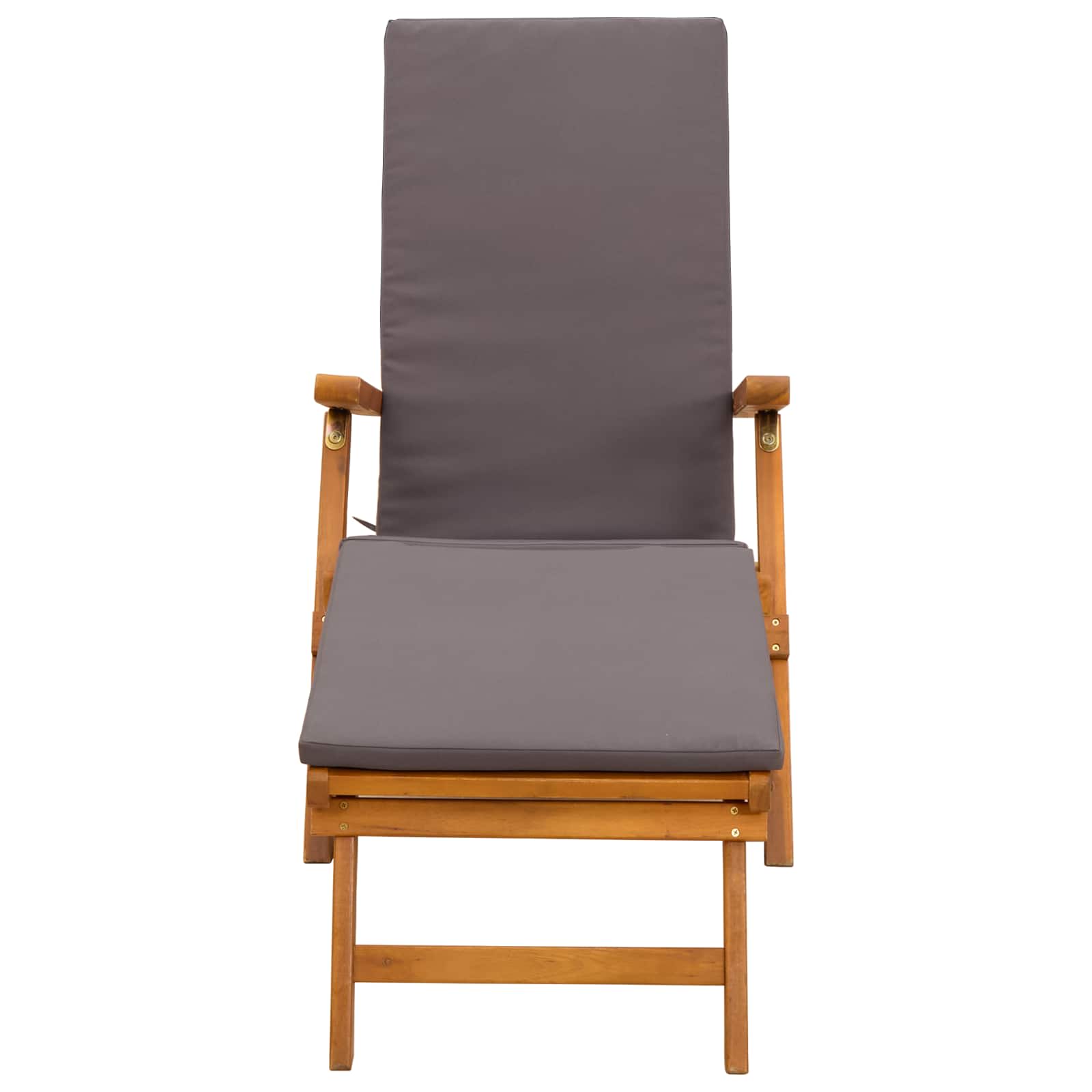 Reclining and Folding Sunlounger 2 pcs Grey 55 x 146 x 91 cm