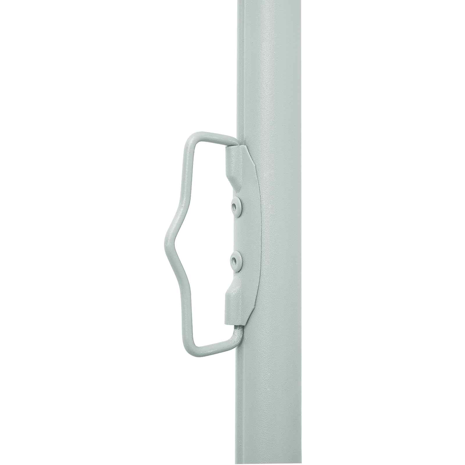 Retractable Side Awning Anthracite 300 x 100 cm Polyester