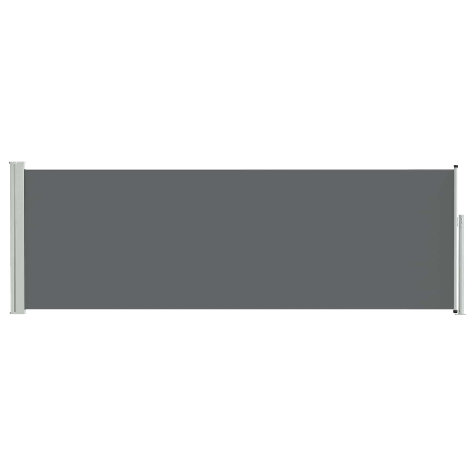 Retractable Side Awning Anthracite 300 x 100 cm Polyester