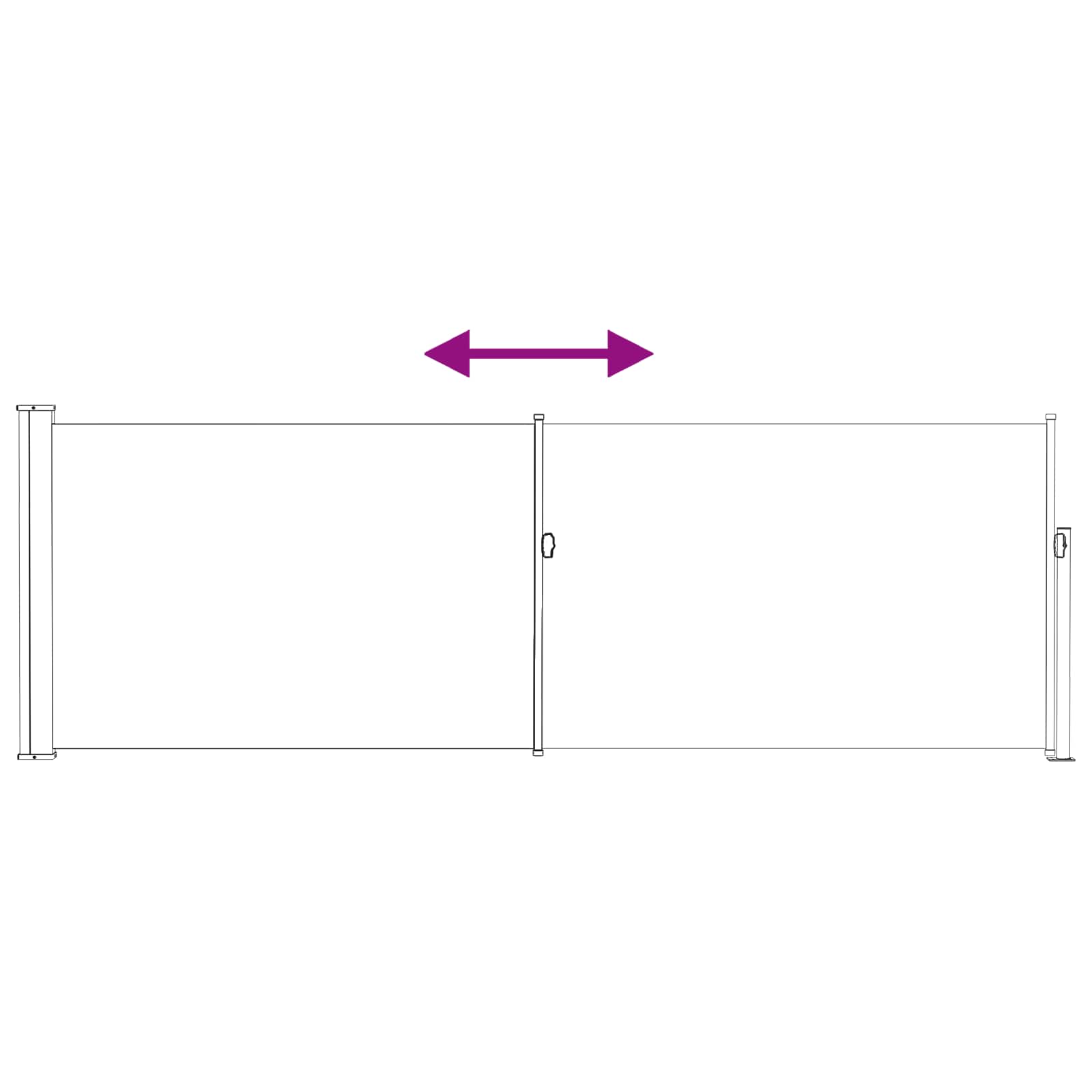 Retractable Side Awning Anthracite 300 x 100 cm Polyester