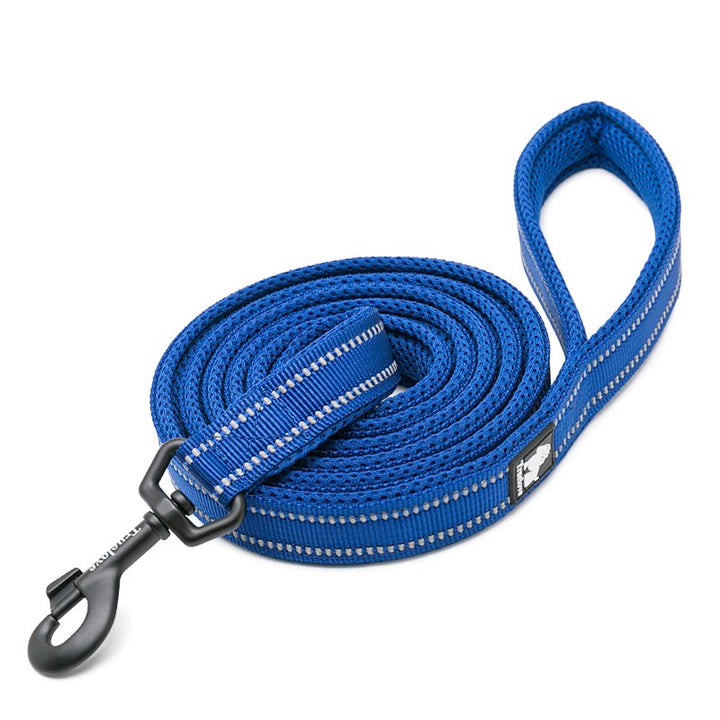 True Love Reflective Pet Leash 2m - Royal Blue, L-1962324899980775424