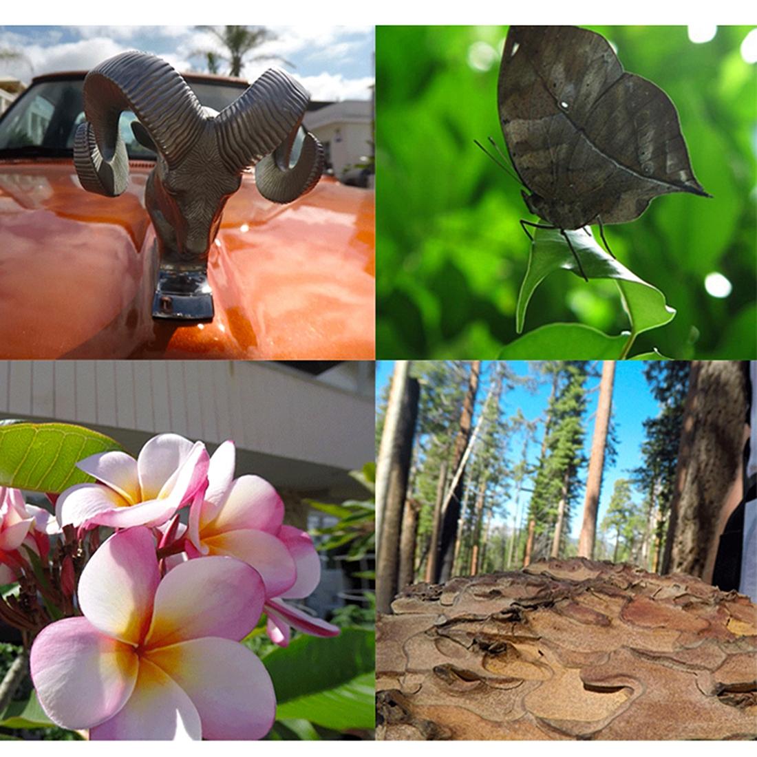 10X Macro Lens For Gopro Hero5 Action Camera - 52Mm-1915197866071166981