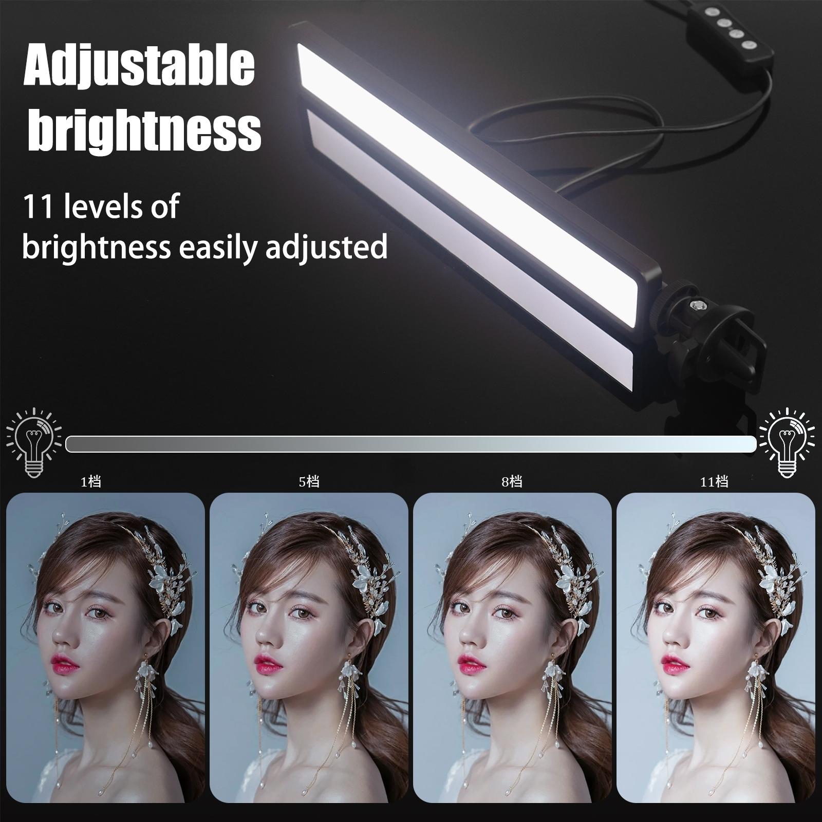 Portable Bi-Colour Led Video Light For Live Streaming And Conferences-1915197746059546627