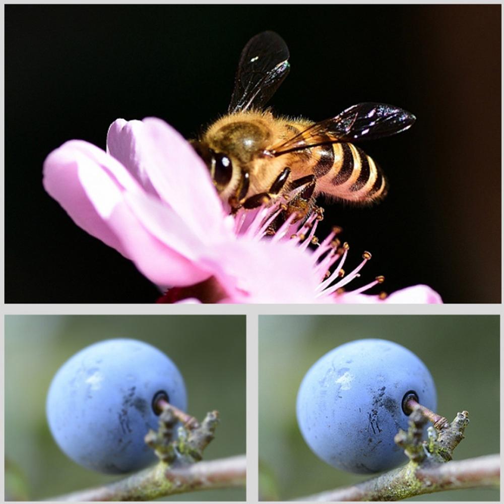 6-In-1 Round Diving Lens Filter For Gopro Hero8-1915197772517216258