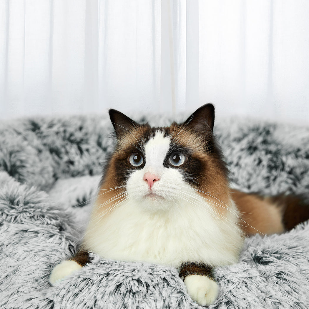 PaWz Pet Bed Memory Foam Dog Donut Charcoal Medium-1954802572195926022