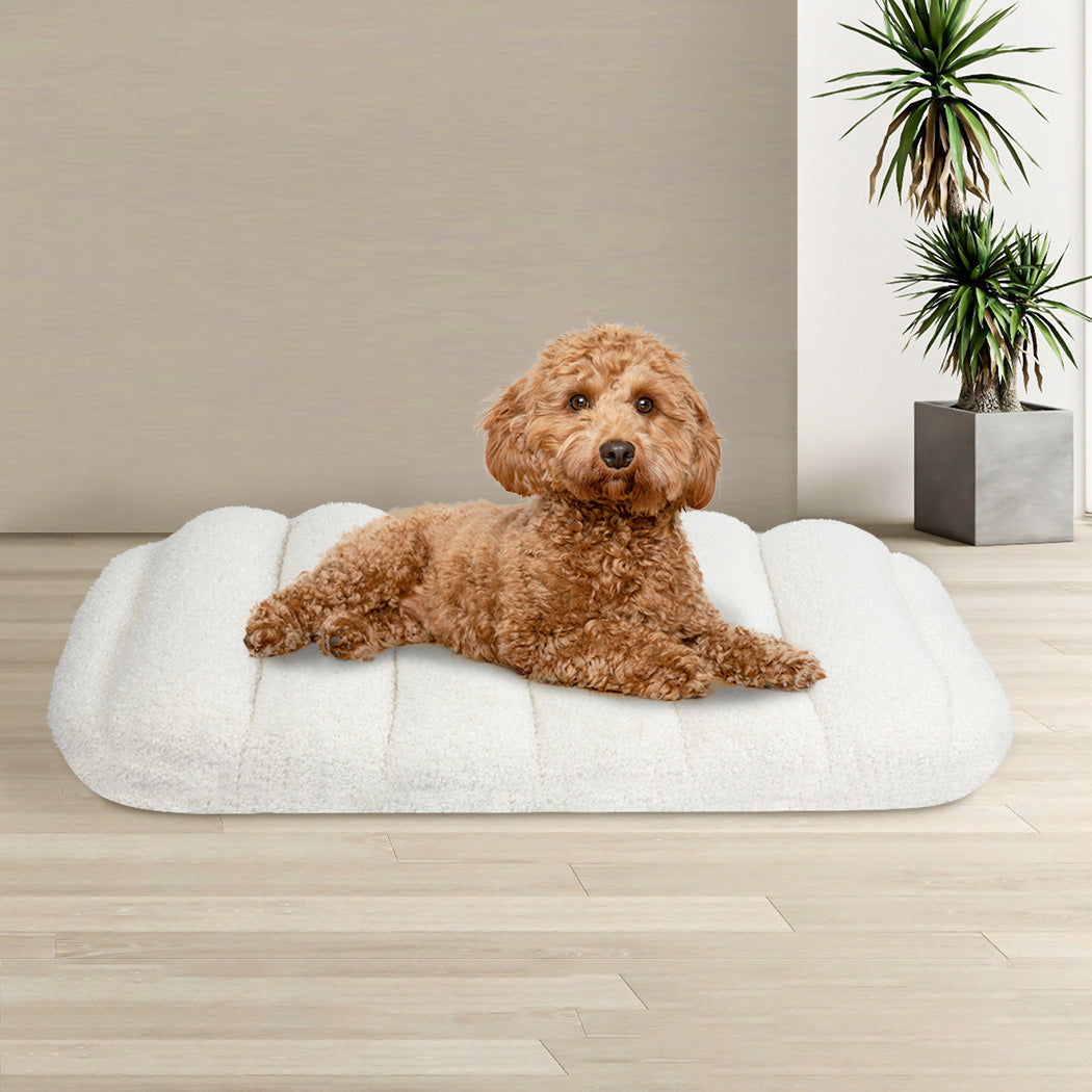 Pawz M Size Orthopedic Dog Bed with Sherpa Plush Removable Cover in White-1954802482236493830