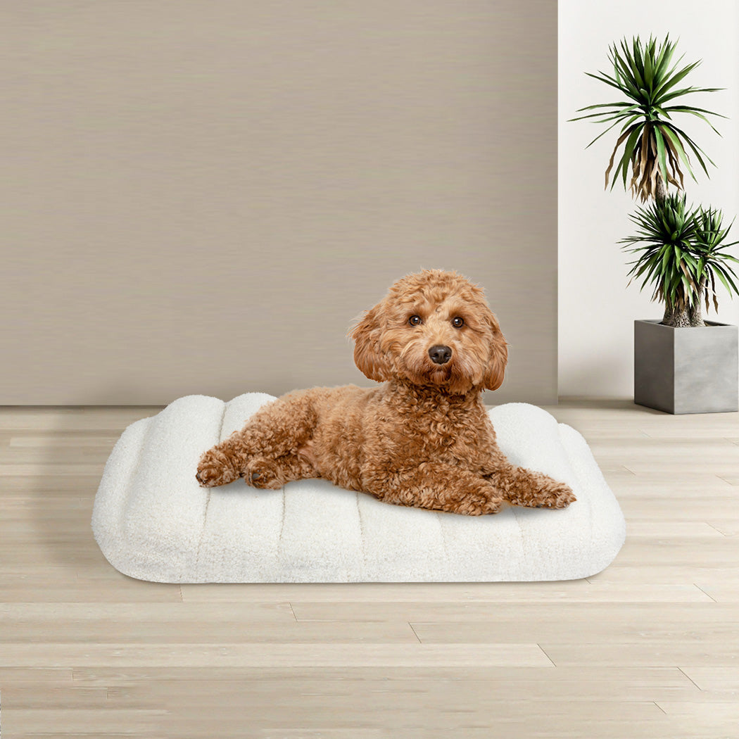 Pawz S Size Orthopedic Dog Bed with Sherpa Plush Removable Cover in White-1954802482643341318