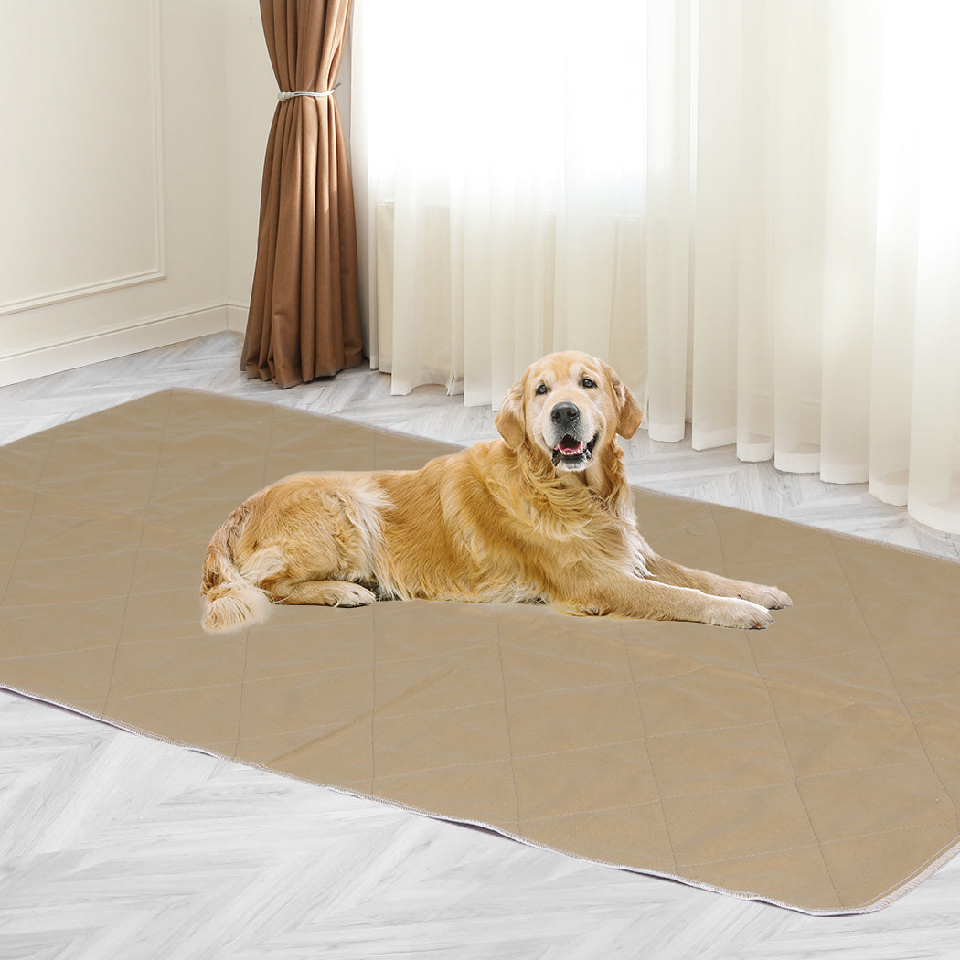 PaWz 2 Pcs 120x180 cm Reusable Waterproof KING-1954803023205240838