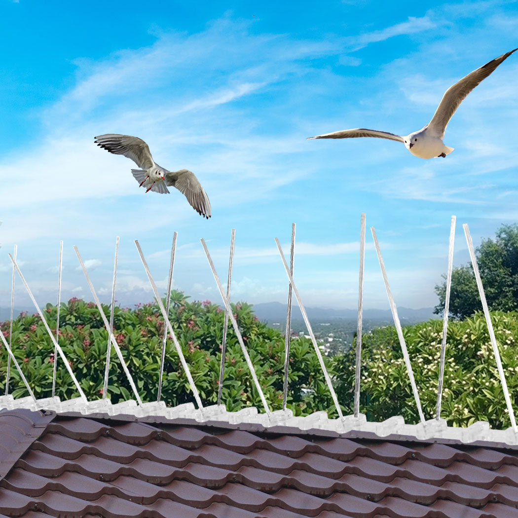 Lambu 10x 50cm Anti Bird Spikes Pigeon-1910113069363761159