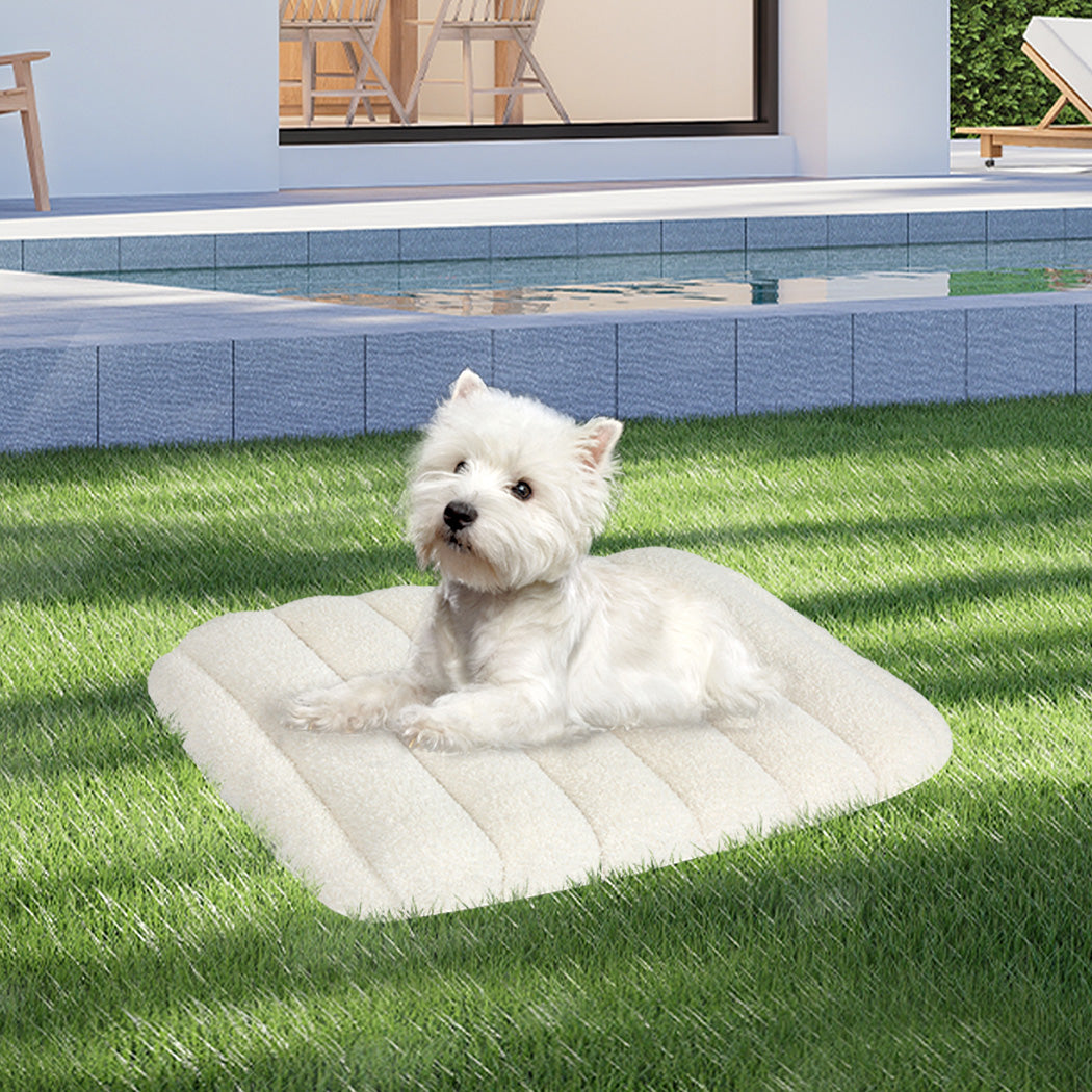 Pawz S Size Orthopedic Dog Bed with Sherpa Plush Removable Cover in White-1954802482643341319