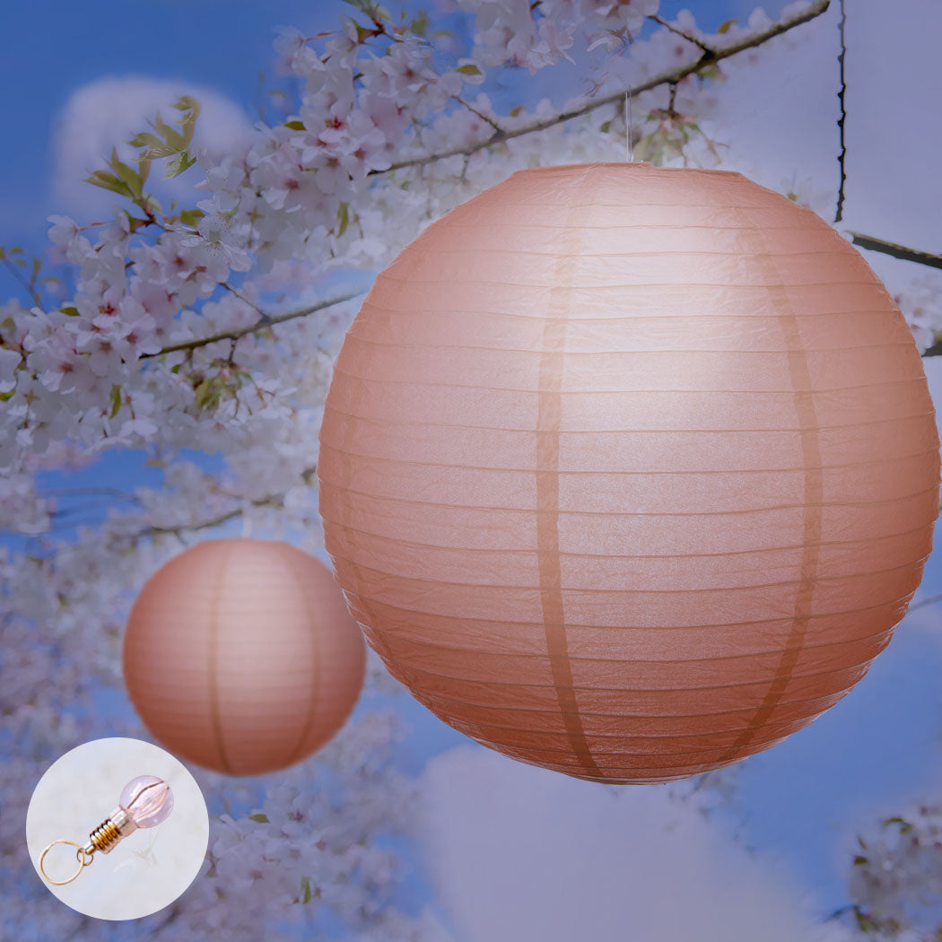 12" Paper Lanterns for Wedding Party-1910113018872729606