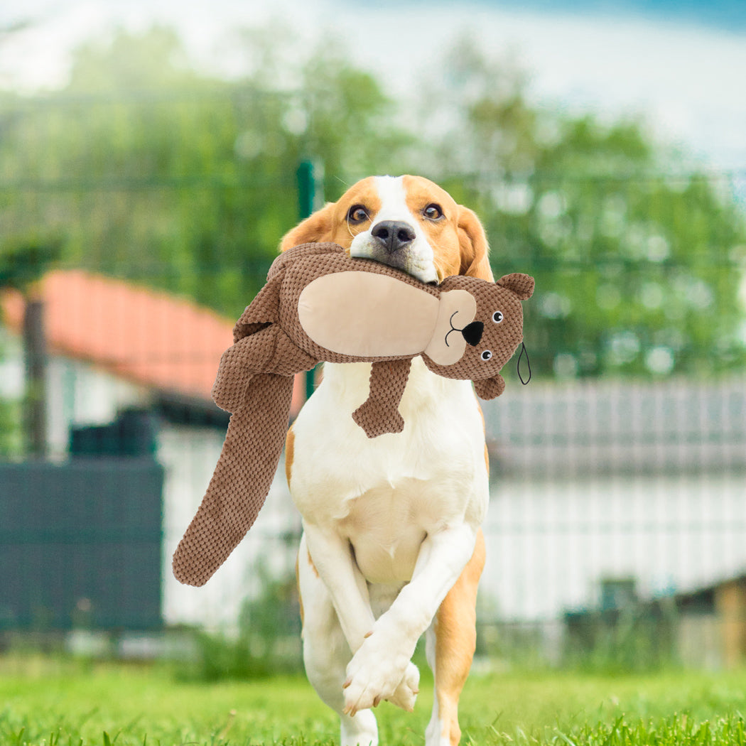 PaWz Dog Chew Toys Squeaky Puppy Pet-1954803090741923847