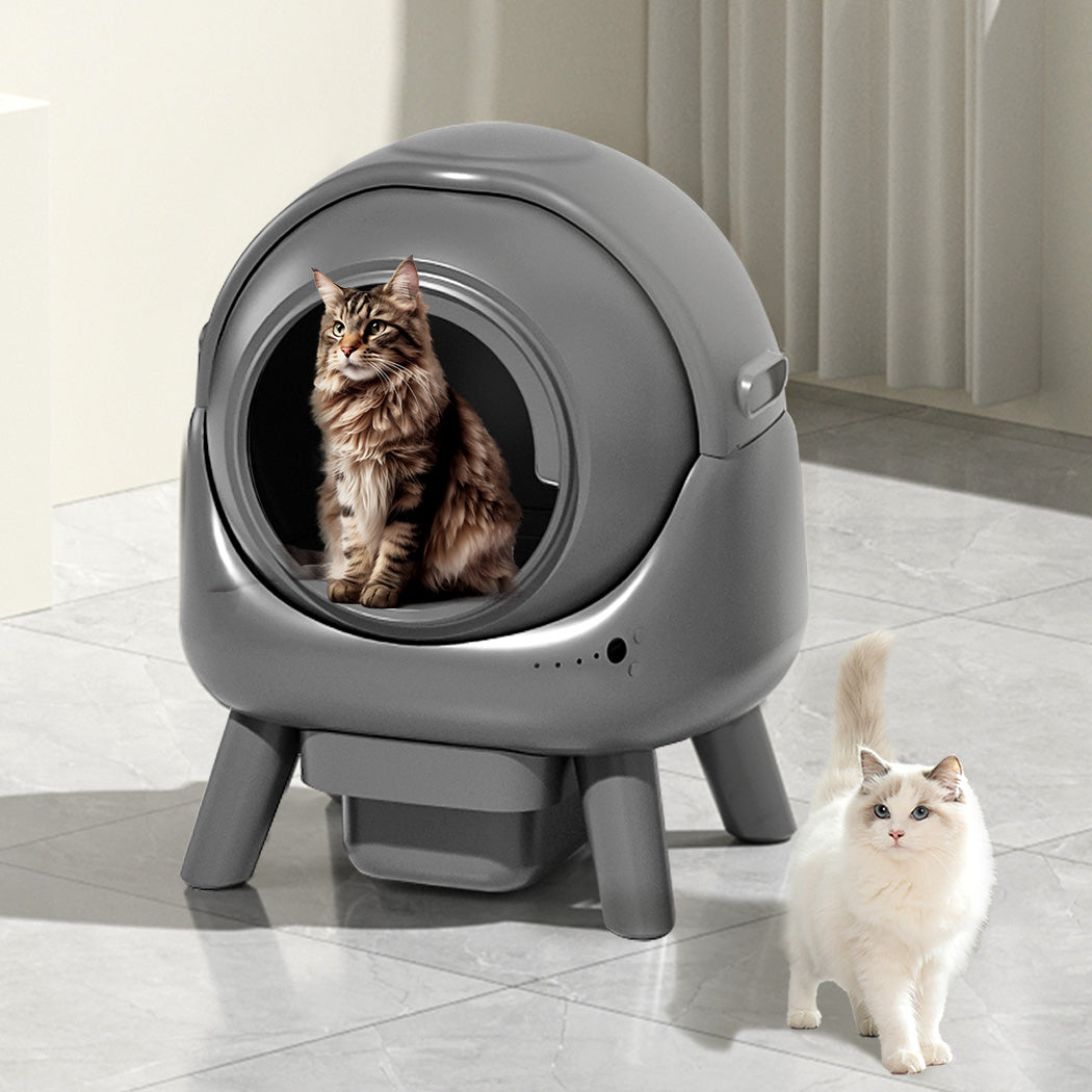 PaWz Smart Self Cleaning Cat Litter Box APP Control-1954802453987856391