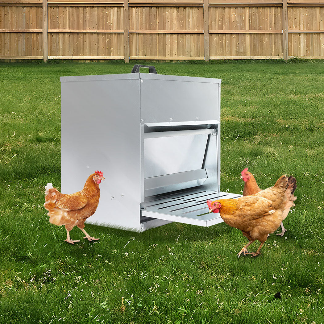 PaWz 10KG Auto Chicken Feeder Dispenser Galvanised Steel-1954802454285651975