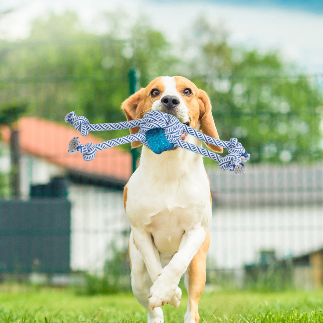 PaWz Dog Chew Toys Squeaky Puppy Pet-1954803090930667527